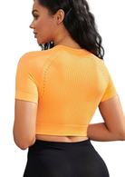 TrainTech Cropped Round Neck Active Top - FleekGoddess